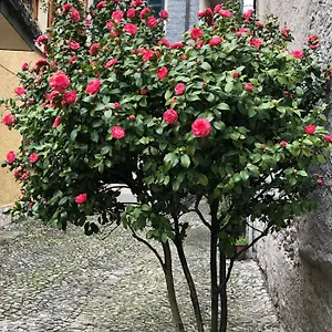 Appartement Casa